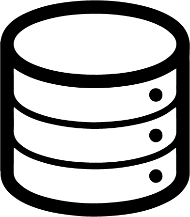 Data Storage Icon
